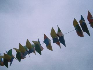 317805