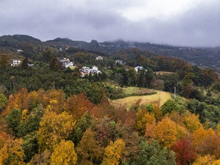 DJI_20241106041014_0032_D