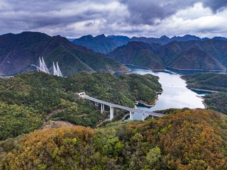 DJI_20241106004055_0033_D