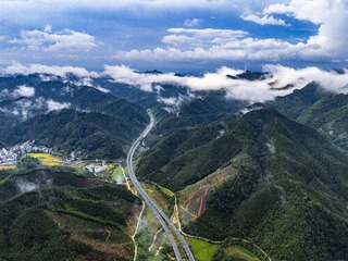 DJI_20240811110941_0080_D
