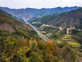 DJI_20241114035459_0062_D