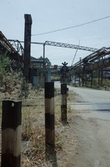 295276