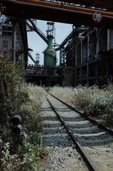 295269
