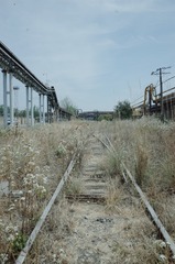 295282