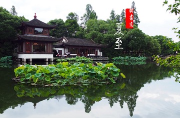 8夏至【曲苑风荷】