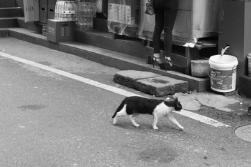 AE10C5C6-36EE-4C9F-8096-86EE69790D6C/L0/001