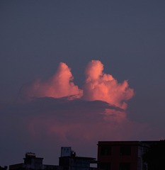 309D71E3-8B02-496F-B108-1E85424136FF/L0/001