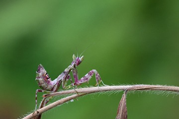 E720118A-B5C2-4216-B536-89E7E72B0A32/L0/001