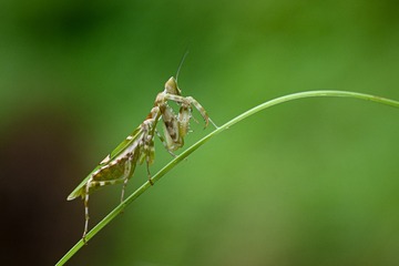 FD4E0877-763E-4C62-9997-D5C14C83160F/L0/001