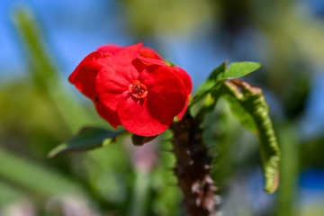 6D5EE60D-ED3E-43A8-ACD2-488F2DDEB25D/L0/001