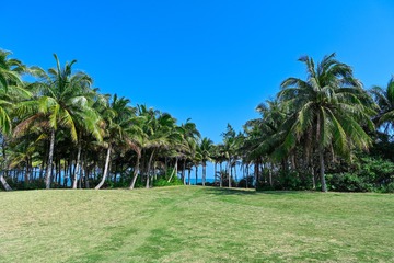 5CD0C89C-FD0C-4370-89D1-C43366F0B19E/L0/001