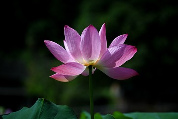 AE2D000E-09D4-4BA8-B854-970249DD1139/L0/001