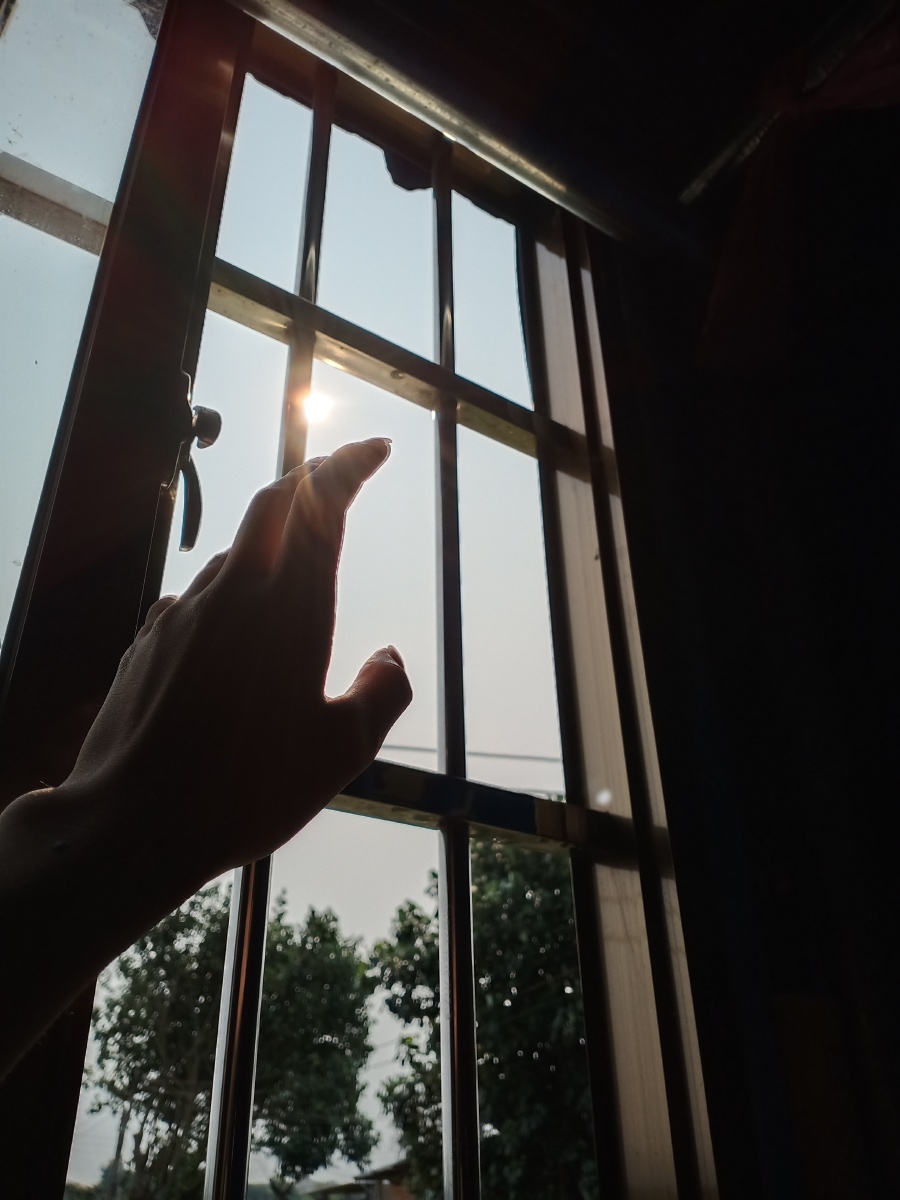 听说你向往窗外的阳光