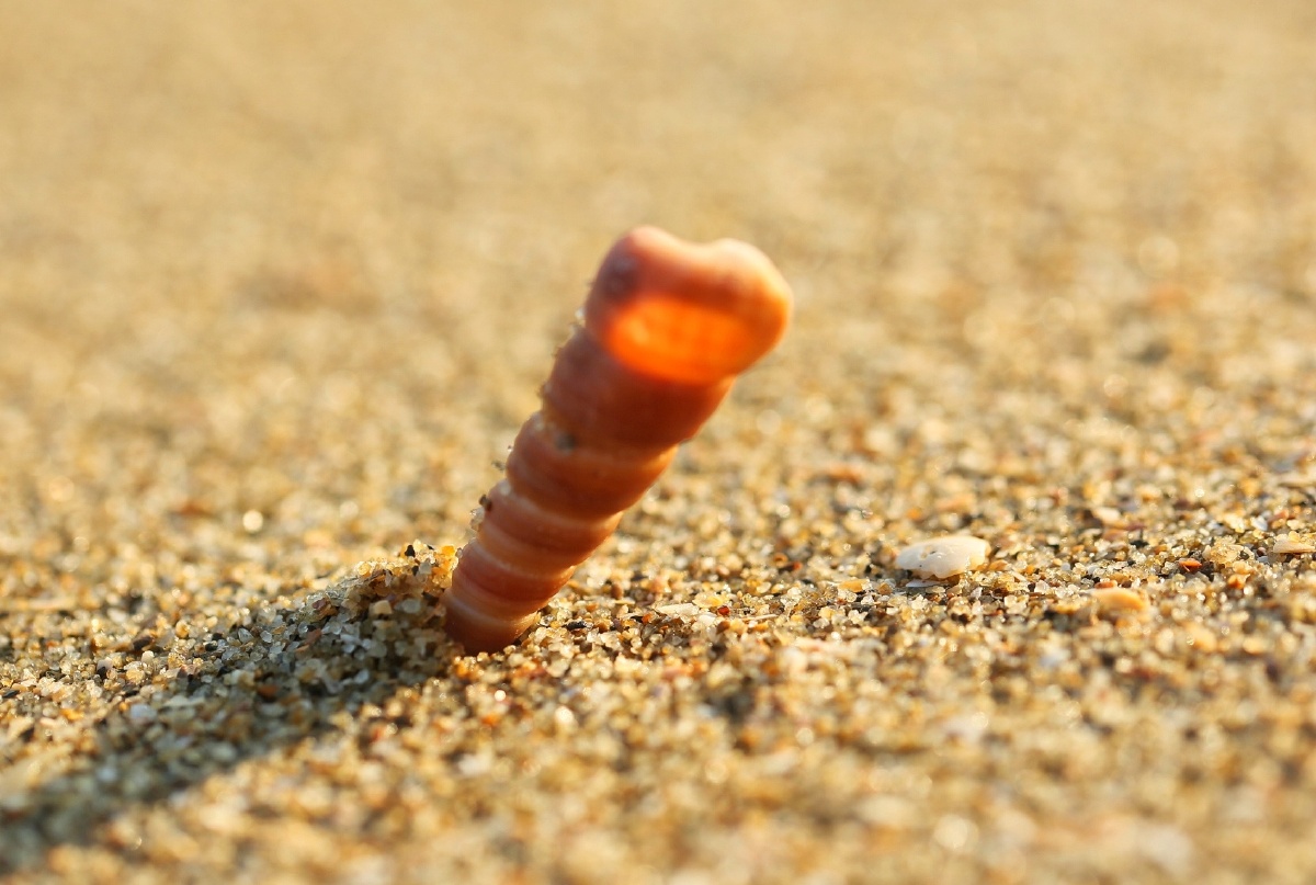 木公松所长别开枪是我