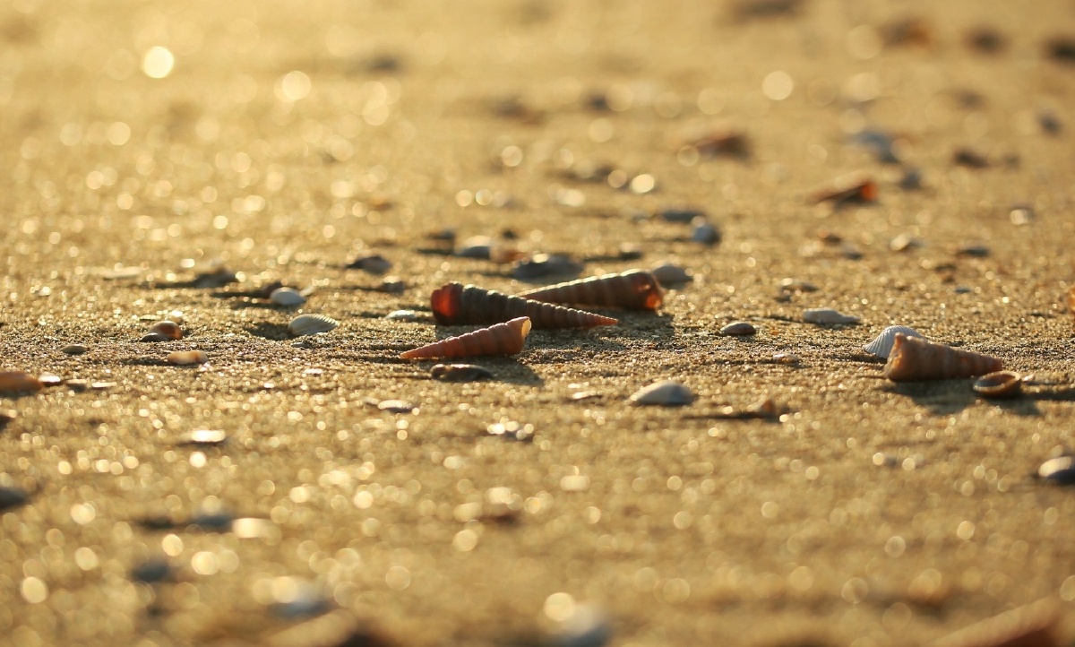 木公松所长别开枪是我