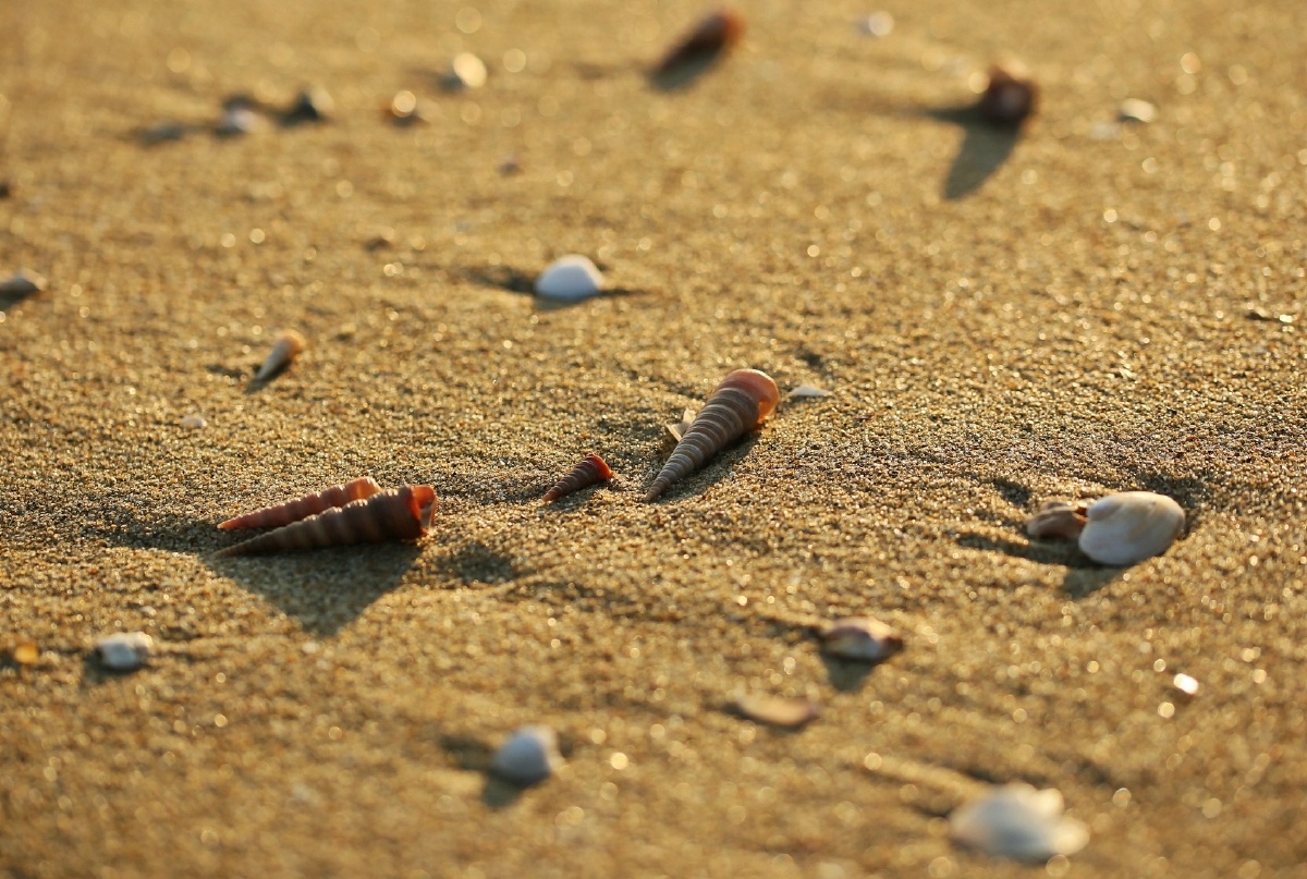 木公松所长别开枪是我