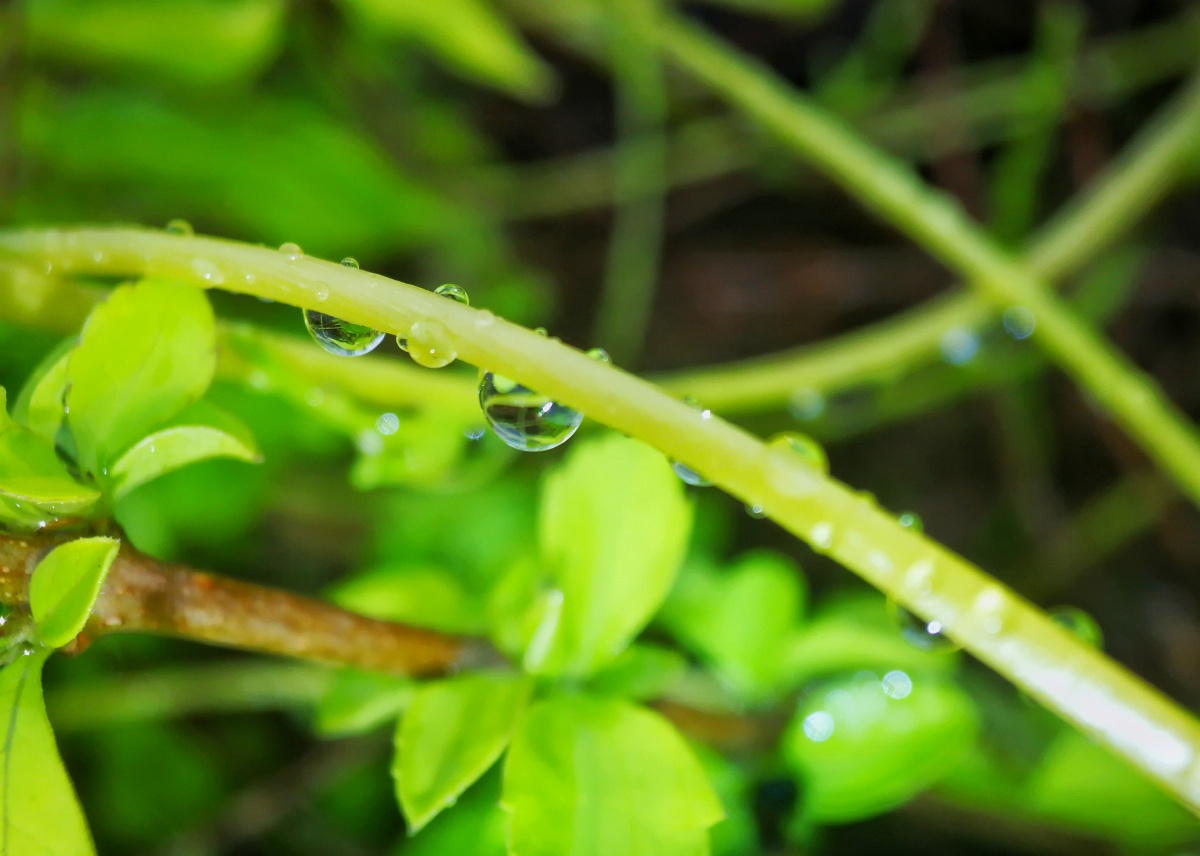 木公松所长别开枪是我