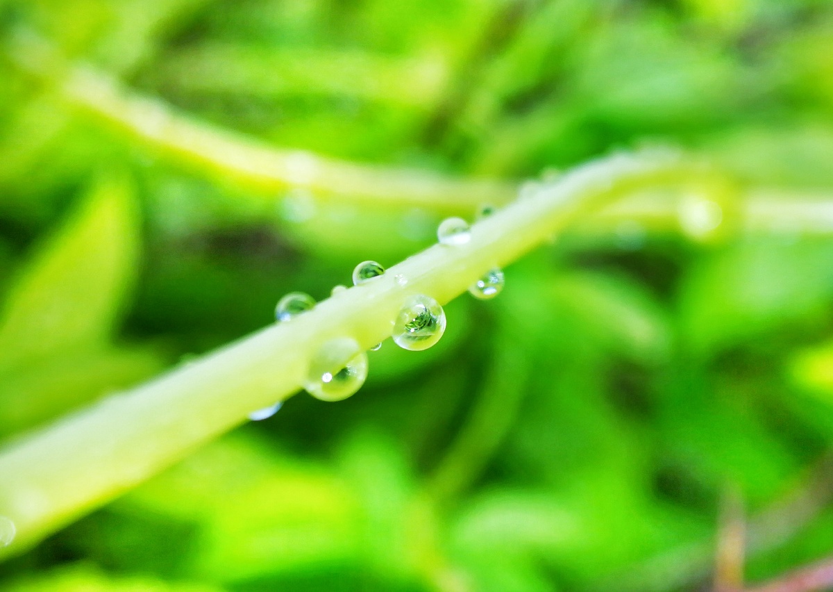 木公松所长别开枪是我