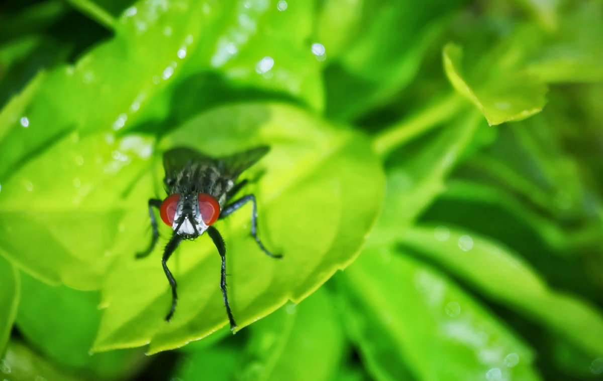 木公松所长别开枪是我