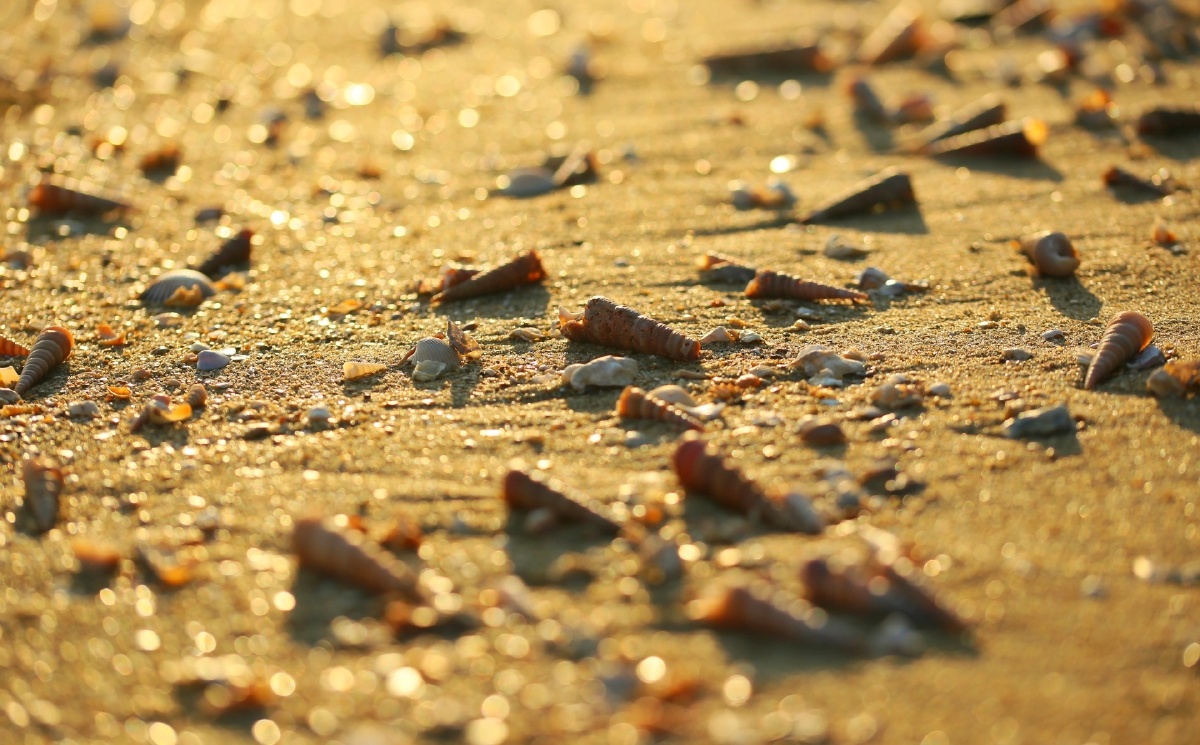 木公松所长别开枪是我