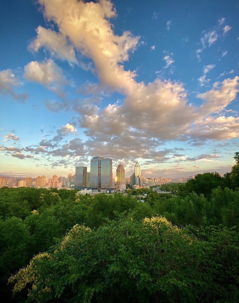 蓝天下的城市一景