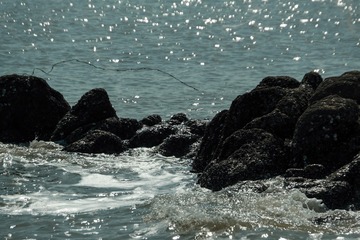7D50DCFD-17C4-4FB4-9095-01D1DF5E3711/L0/001
