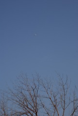 DCED9B20-29C0-416E-9DC1-4304163FD0AD/L0/001