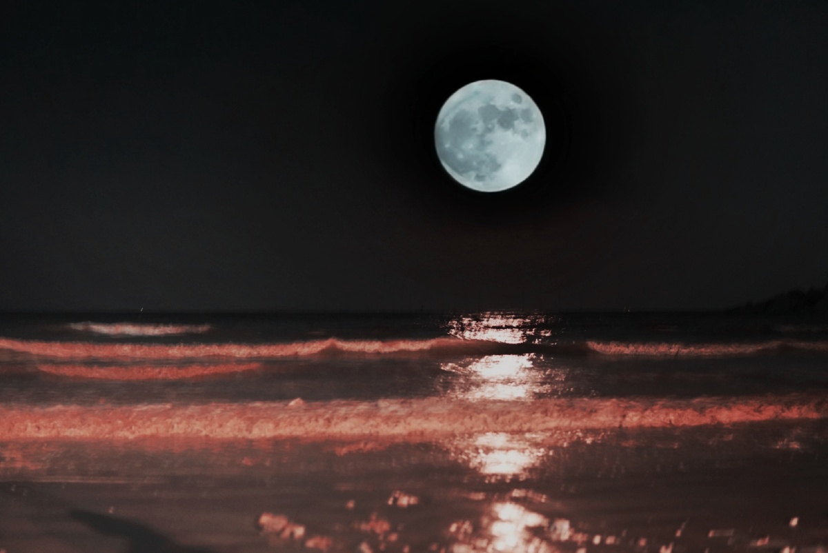 海上升明月潮汐观潮中秋潮汐点赞是美德,打赏是鼓励打赏还没有人打赏