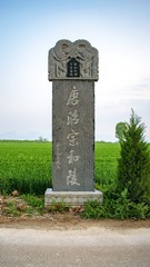 1372841