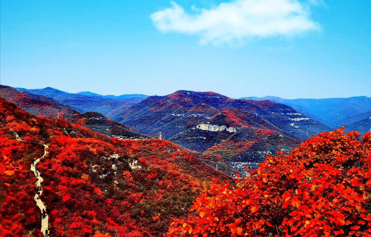 漫山红遍那个秋 - 燕gm