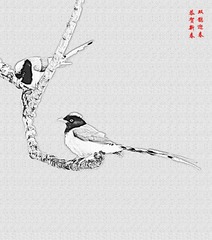 2E15C9B1-E32C-4CE0-9CA0-DA6ED0D5CE6F/L0/001