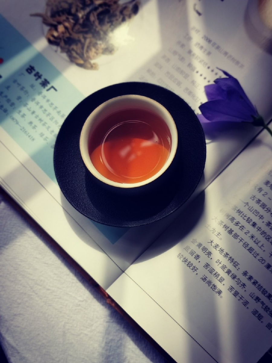 茶醉之人在茶韵里愈加显得飘逸而脱俗;书能醒人,人在书香里愈加显