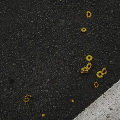 4646