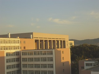 1307805