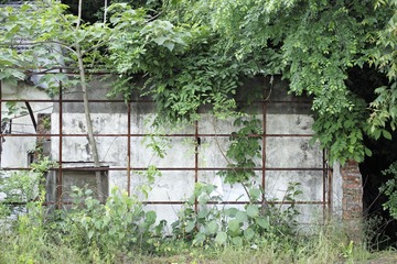 L1001244