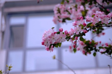 AA458895-3342-4FD9-A4C7-53A3184DC98D/L0/001