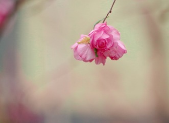 9064085F-1EF9-415B-8CC7-1CF3DB457CEF/L0/001