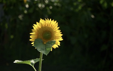 7A5B2FF5-C05E-4354-8AB6-B201153B599E/L0/001