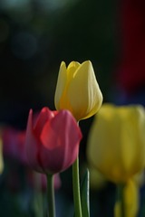 9DDE7E3A-5FA1-4829-9F81-6B5B79DB8D73/L0/001