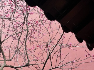 9B0C8813-4CBA-4808-85EC-E623D6D3E59B/L0/001