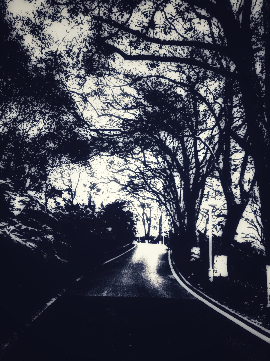 小路两边阴霾的森林每走一步都感觉心情是莫名的惆怅空中仿佛似有人在