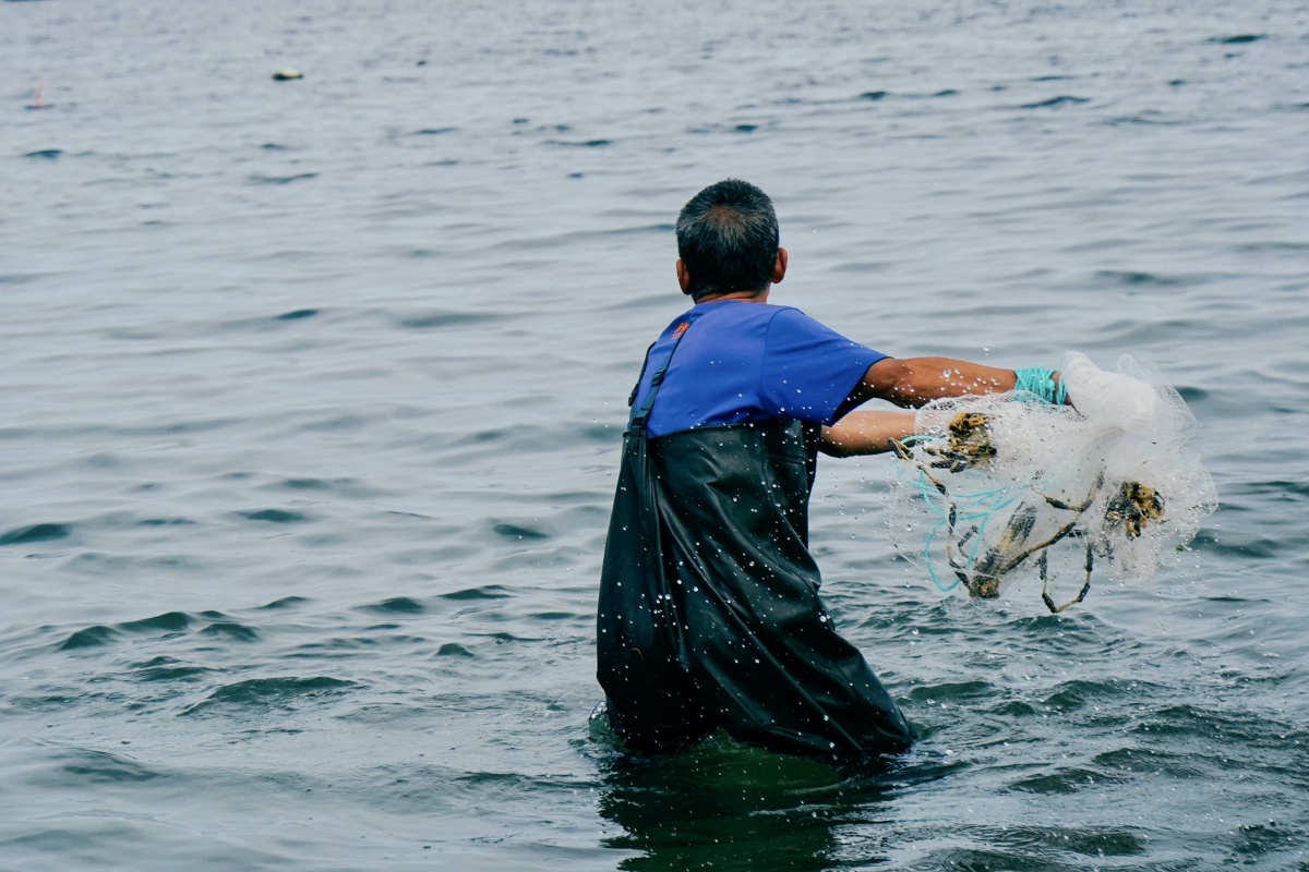 蓬莱海边的渔夫 br