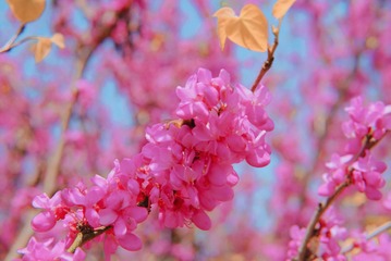 C211F352-F79B-4A4F-B23B-E75B8EDD5AFA/L0/001