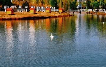 D075EB76-98A8-4D6A-9FB6-43E2A674CD82/L0/001