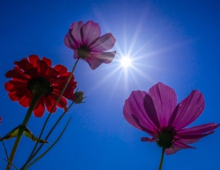 17305