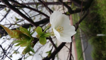 20170311_083515
