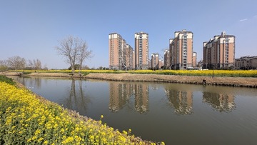 PXL_20250320_062520526