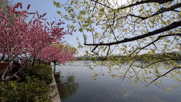 PXL_20250402_062717836