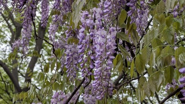 PXL_20250329_063359403