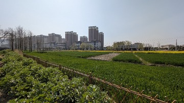 PXL_20250320_062551040